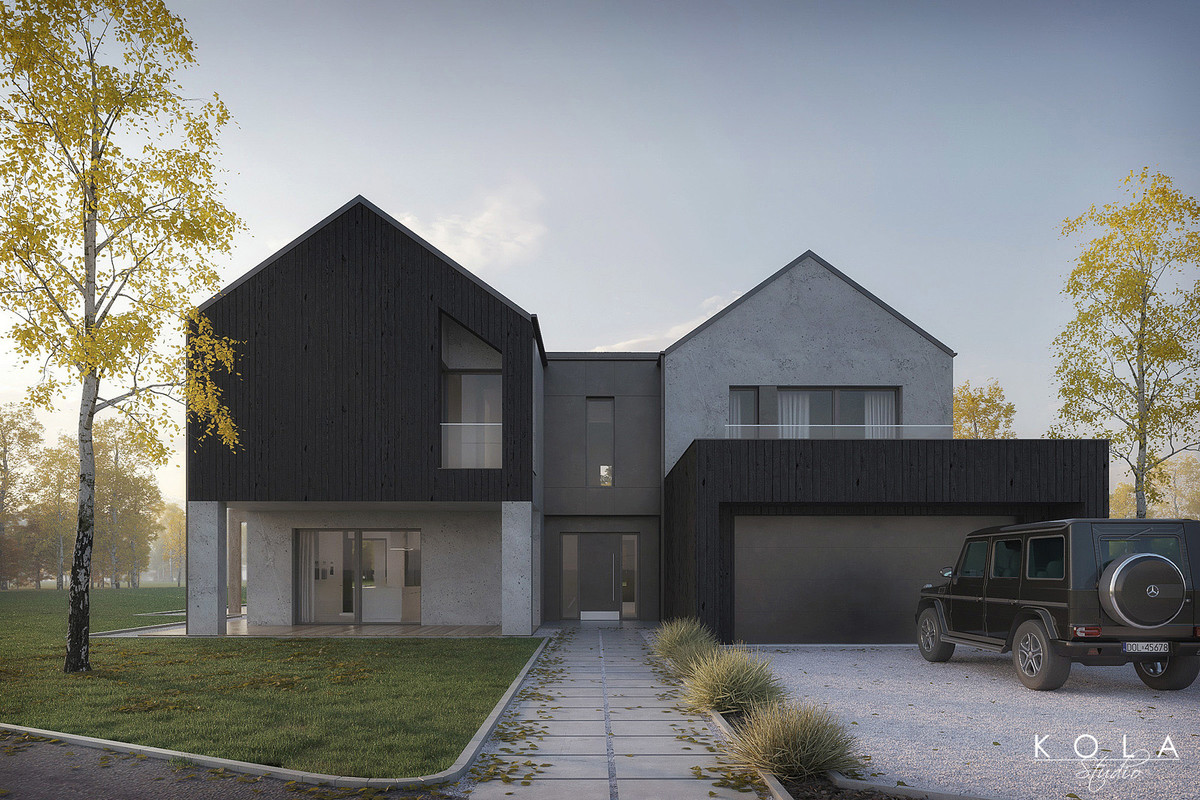 duzy_rodzinny_dom_wizualizacje_projektu_catalog_articles_item_main